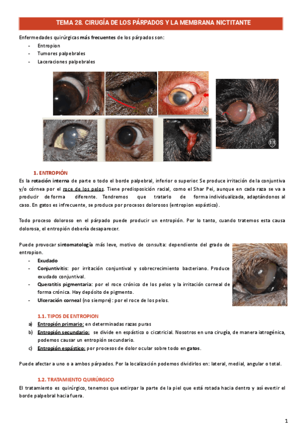 Cirugia-ocular.pdf