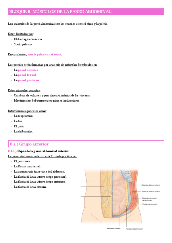 Bloque-8.-Musculos-de-la-pared-abdominal.pdf