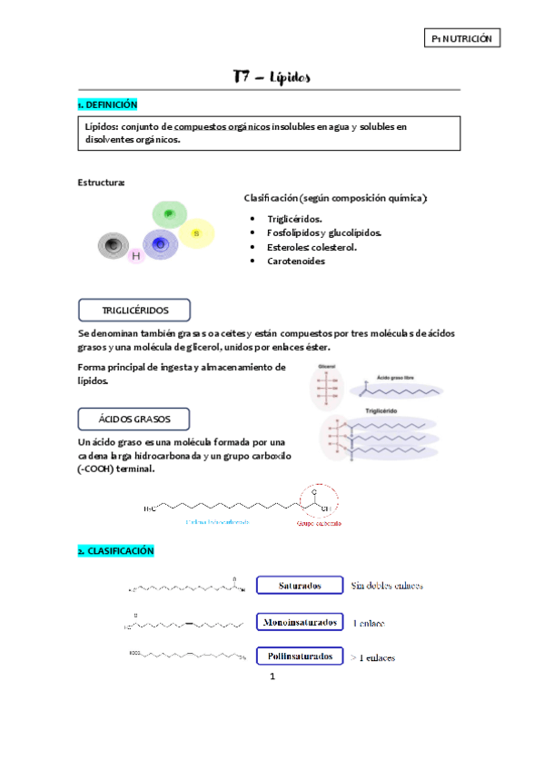 T7-Lipidos-apuntes.pdf