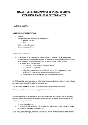 TEMA14.pdf