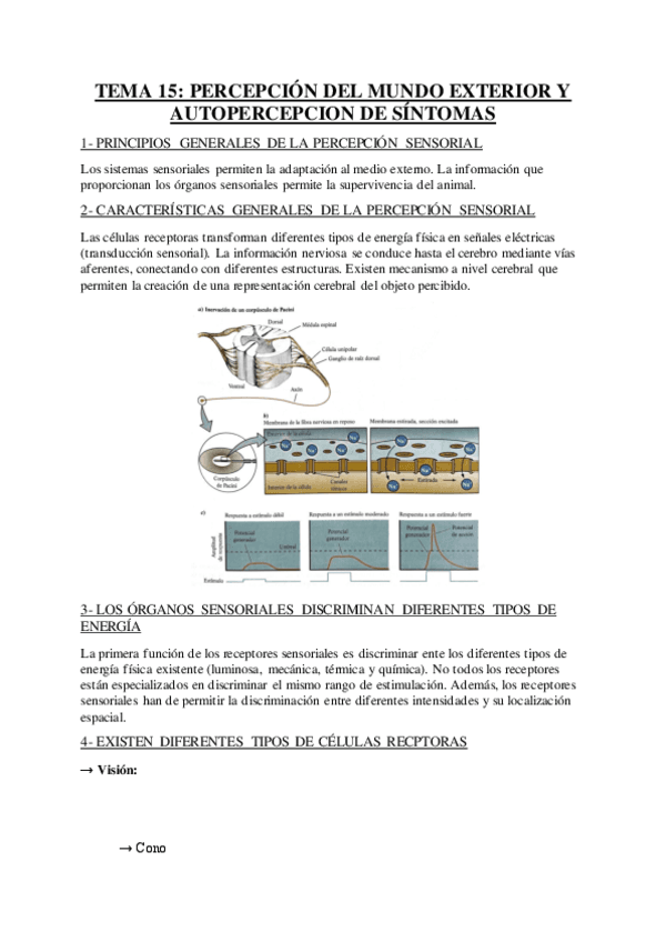 TEMA-15-PERCEPCION-DEL-MUNDO-EXTERIOR-Y-AUTOPERCEPCION-DE-SI.pdf