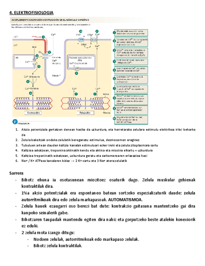 4.-ELEKTROFISIOLOGIA.pdf