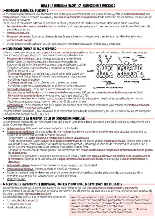 Tema-8.-Resumen.pdf