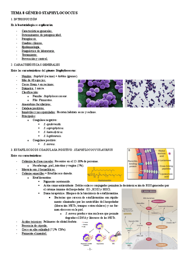 MICROBIOLOGIA-TEMA-8-GENERO-STAPHYLOCOCCUS.pdf