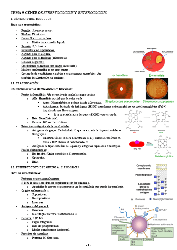 MICROBIOLOGIA-TEMA-10-GENEROS-STREPTOCOCCUS-Y-ENTEROCOCCUS.pdf