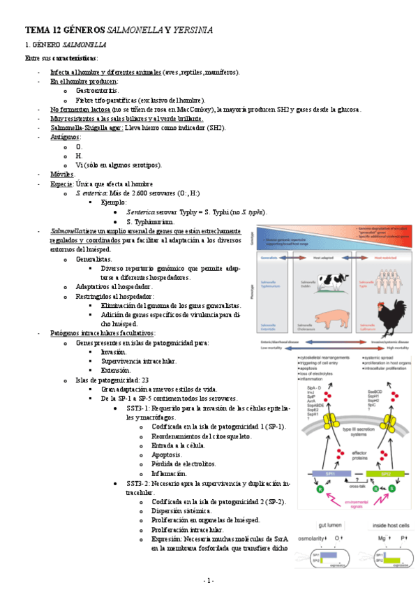 MICROBIOLOGIA-TEMA-12-GENEROS-SALMONELLA-Y-YERSINIA.pdf