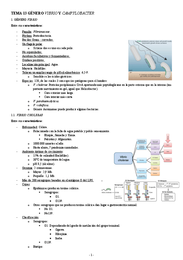 MICROBIOLOGIA-TEMA-13-GENERO-VIBRIO-Y-CAMPYLOBACTER.pdf