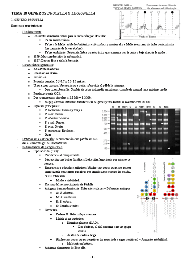 MICROBIOLOGIA-TEMA-18-GENEROS-BRUCELLA-Y-LEGIONELLA.pdf