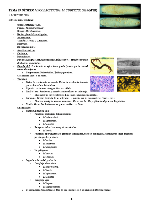 MICROBIOLOGIA-TEMA-19-GENERO-MYCOBACTERIUM-M.-TUBERCULOSIS-MTB.pdf