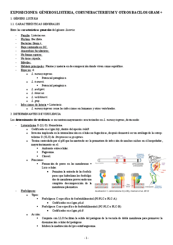 EXPOSICIONES-Tema-15-GENEROS-LISTERIA-CORYNEBACTERIEUM-Y-OTROS-BACILOS-GRAM-.pdf