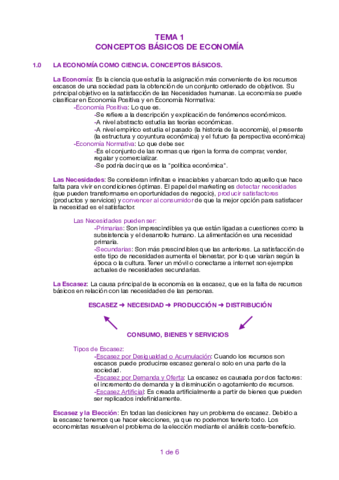 Resumen T1 Economía.pdf