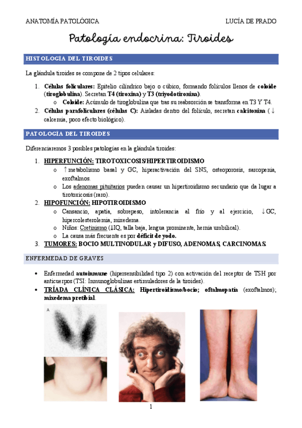 ENDOCRINO-I.-TIROIDES.pdf