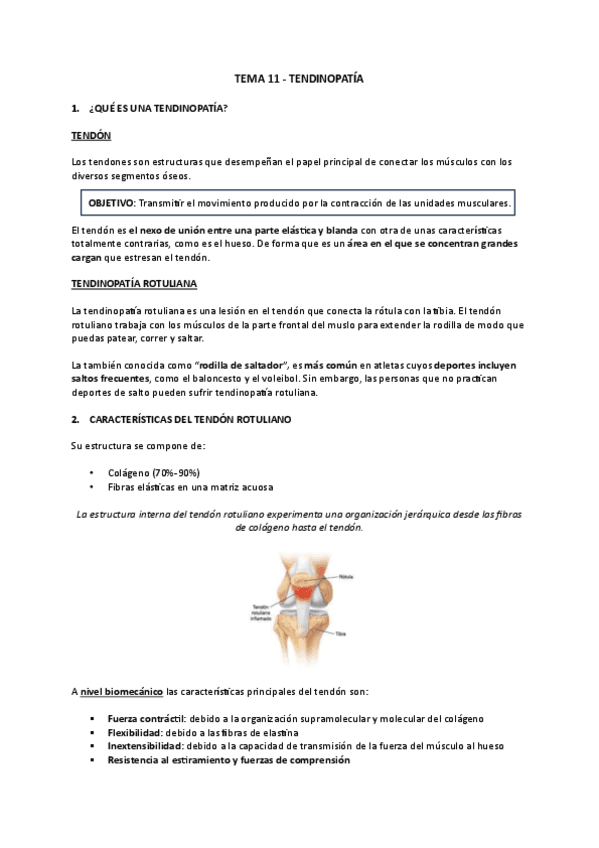TENDINOPATIA.pdf