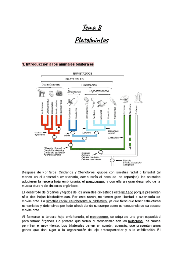 Apuntes-Tema-8-Zoologia-Platelmintos.pdf