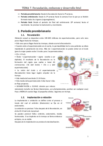 Tema 7. Reproductiva.pdf