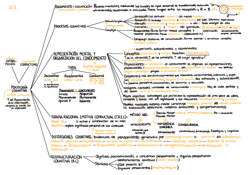 Pensamiento-y-Lenguaje-esquema-UC-1.pdf