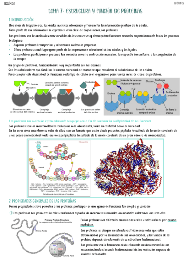 tema-7-bioquimica-1.pdf
