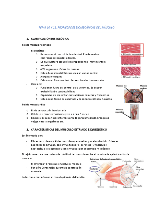 TEMA-10-Y-11.pdf