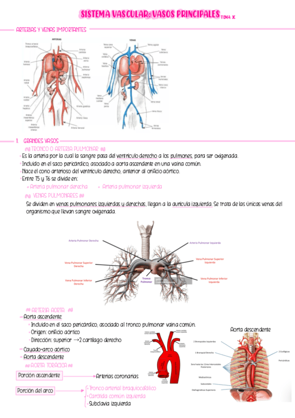 Tema-3c.pdf