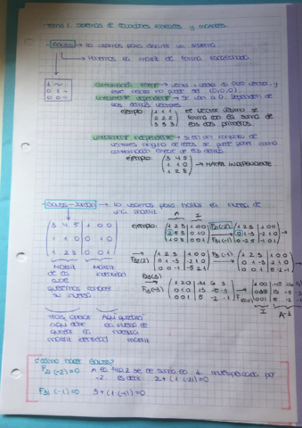 Resumen tema 1 y tema 2.pdf