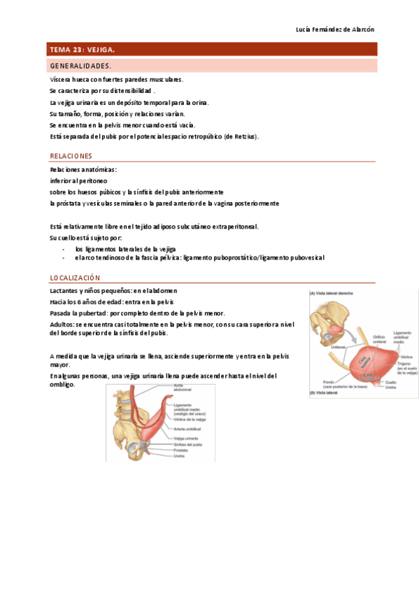 tema-23-y-24-ANAT-DRURE.pdf