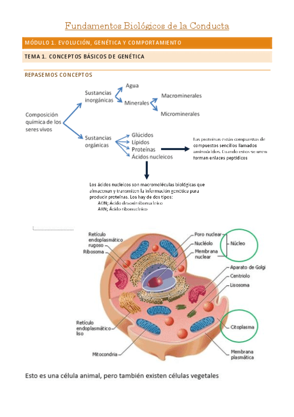 Fundamentos-Biologicos-de-la-Conducta.pdf