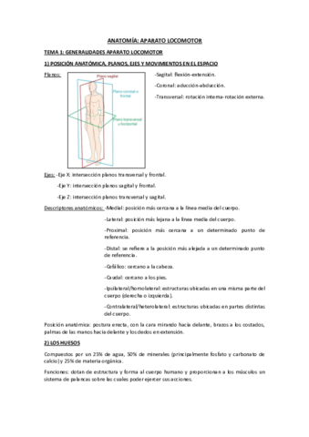 APUNTES APARATO LOCOMOTOR TODOS LOS TEMAS.pdf