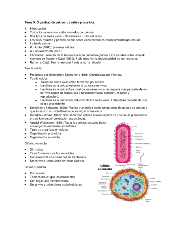 Tema-5-Organizacion-celular.-La-celula-procariota..pdf