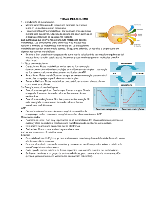 TEMA-8-METABOLISMO.pdf