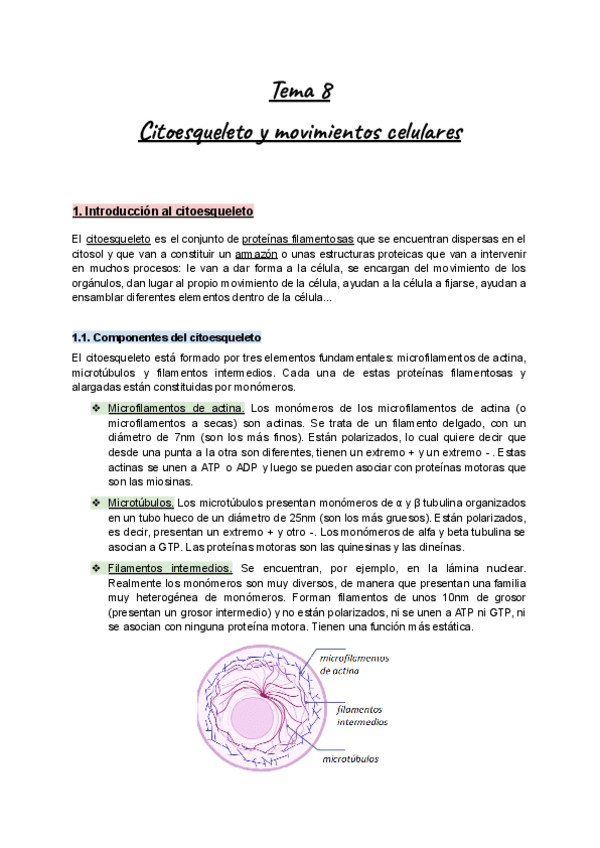 Apuntes-Tema-8-BioCel-I-Citoesqueleto-y-movimientos-celulares.pdf