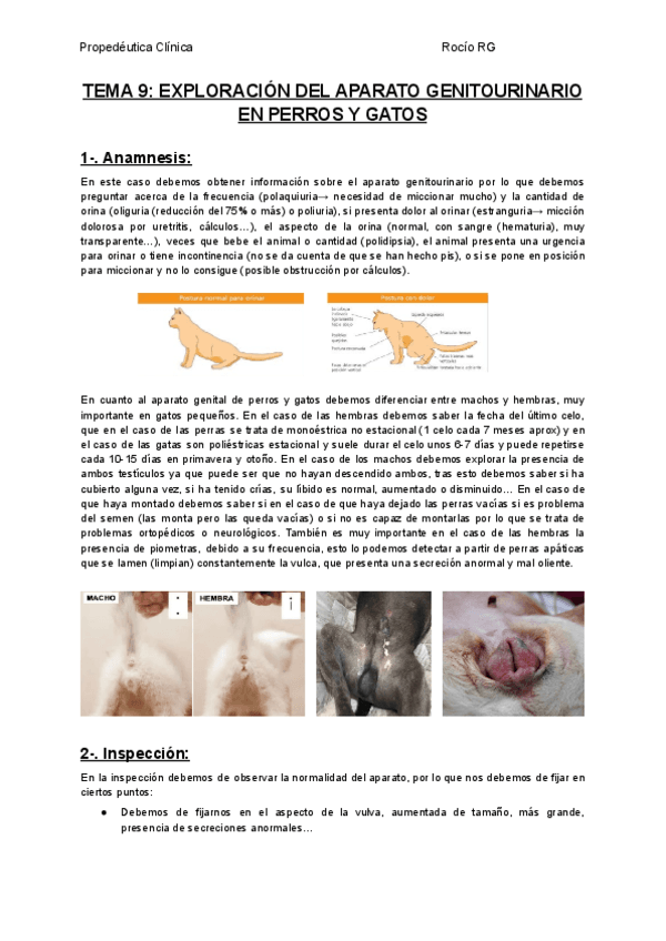 TEMA-9-EXPLORACION-DEL-APARATO-GENITOURINARIO-EN-PERROS-Y-GATOS.pdf