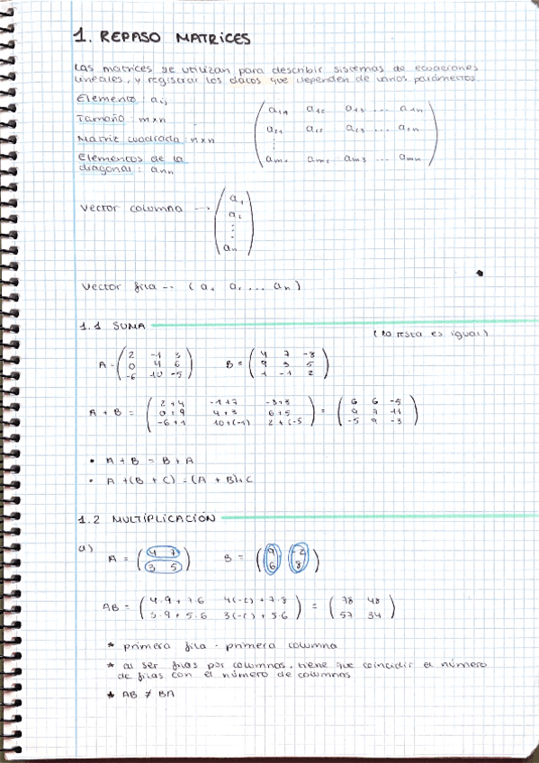 BLOQUE 1 MATRICES TEORÍA Y EJEMPLOS RESUELTOS.pdf