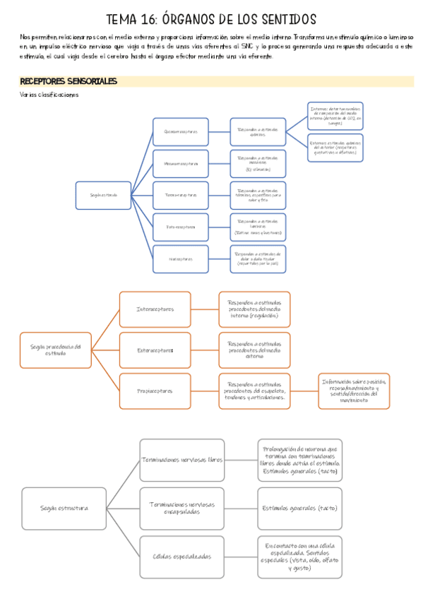 TEMA-16-Organos-de-los-sentidos.pdf