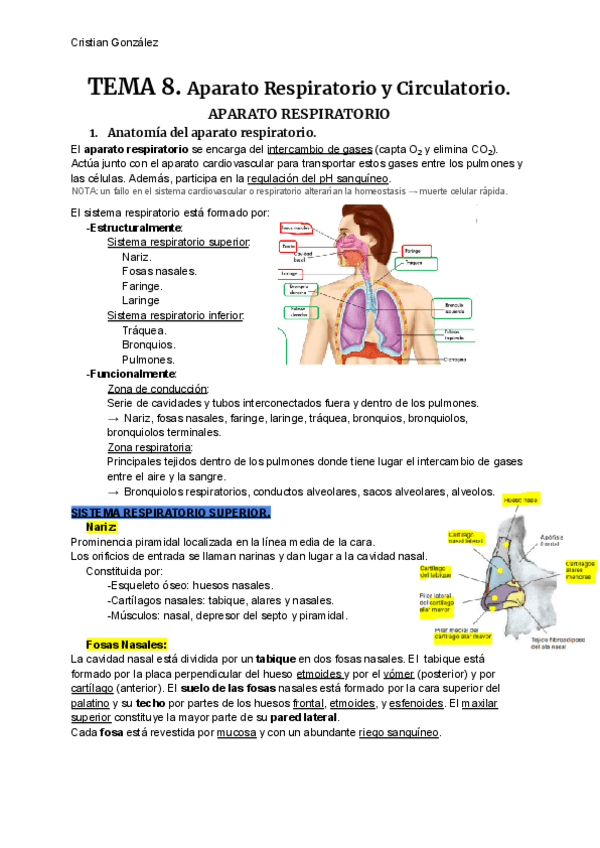 ANATOMIA-T8.pdf