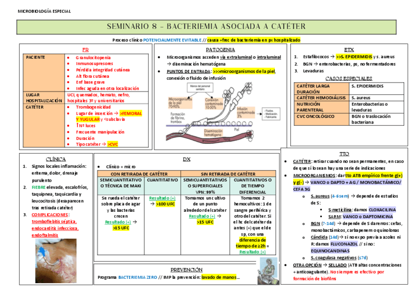 seminario-8-bacteriemia-asociada-a-cateter.pdf