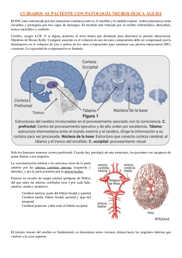 Bloque-2--Patologia-neurologica-aguda.pdf