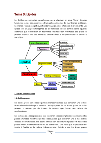 Tema 3- Lípidos.pdf