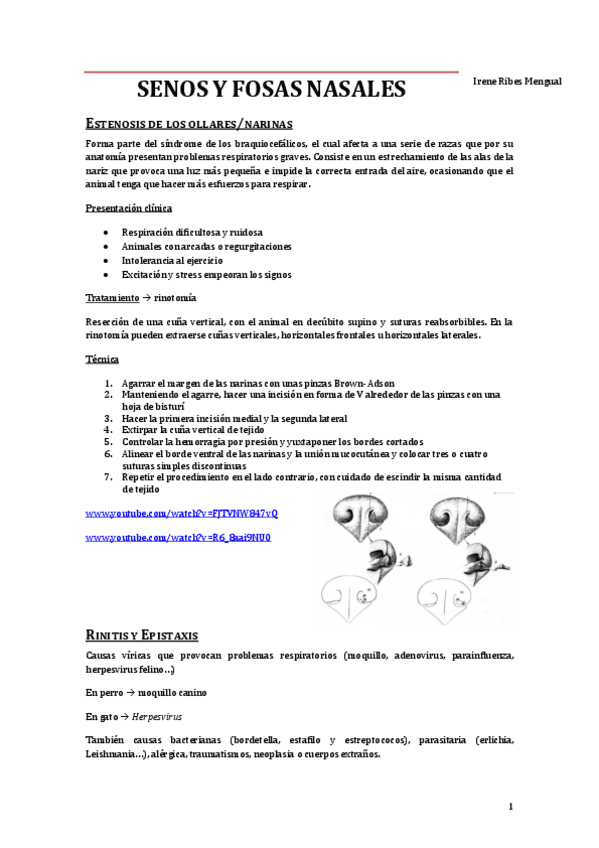 4.1-SENOS-Y-FOSAS-NASALES.pdf