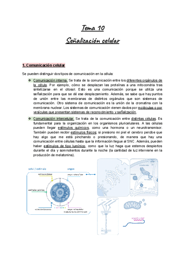 Apuntes-Tema-10-BioCel-I-Senalizacion-celular.pdf