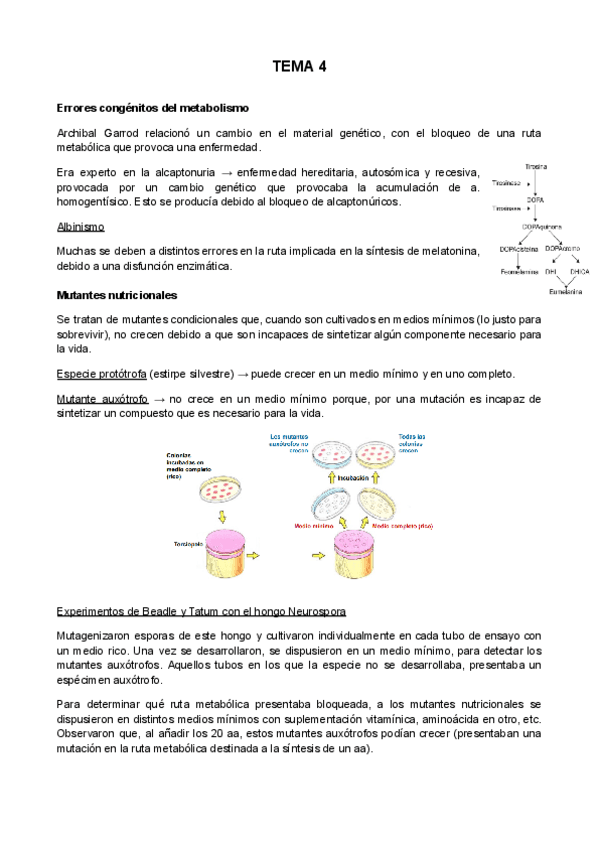 TEMA-4.pdf