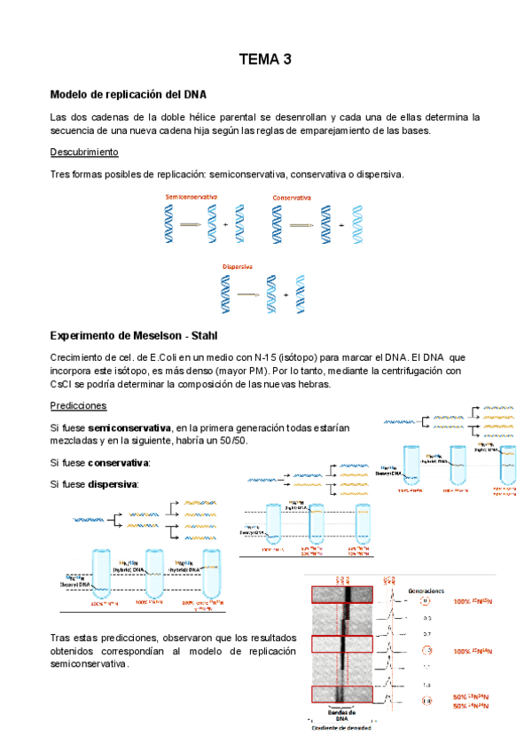 TEMA-3.pdf