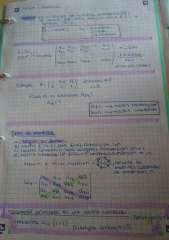 Matrices.pdf