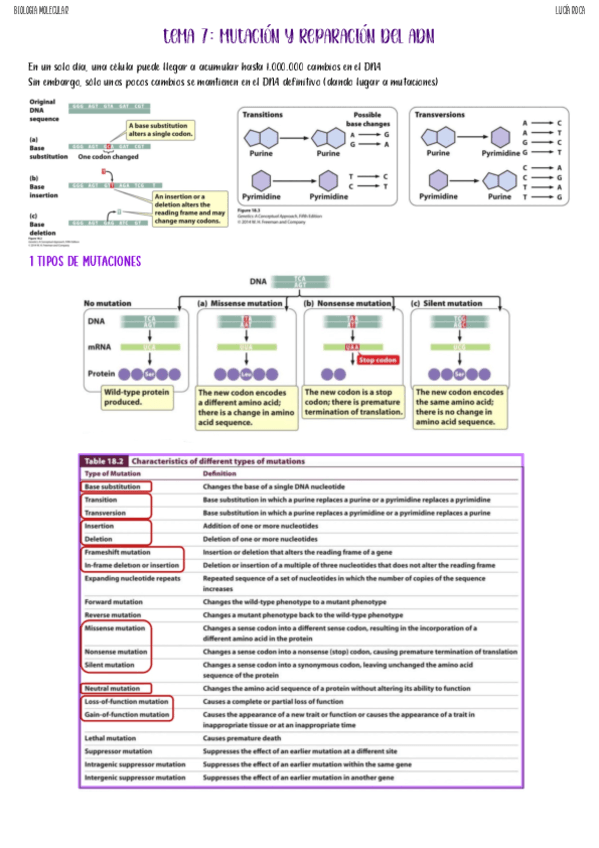 tema-7-biologia-molecular.pdf