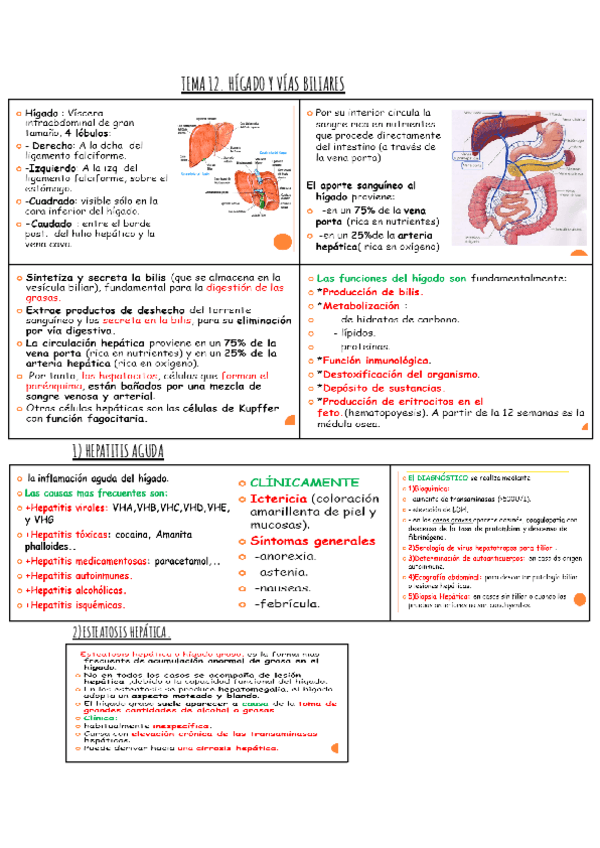 TEMA-12-FISIOPA.pdf