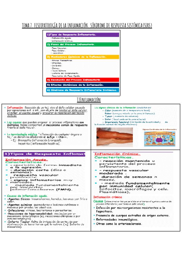 TEMA-7-FISIOPA.pdf