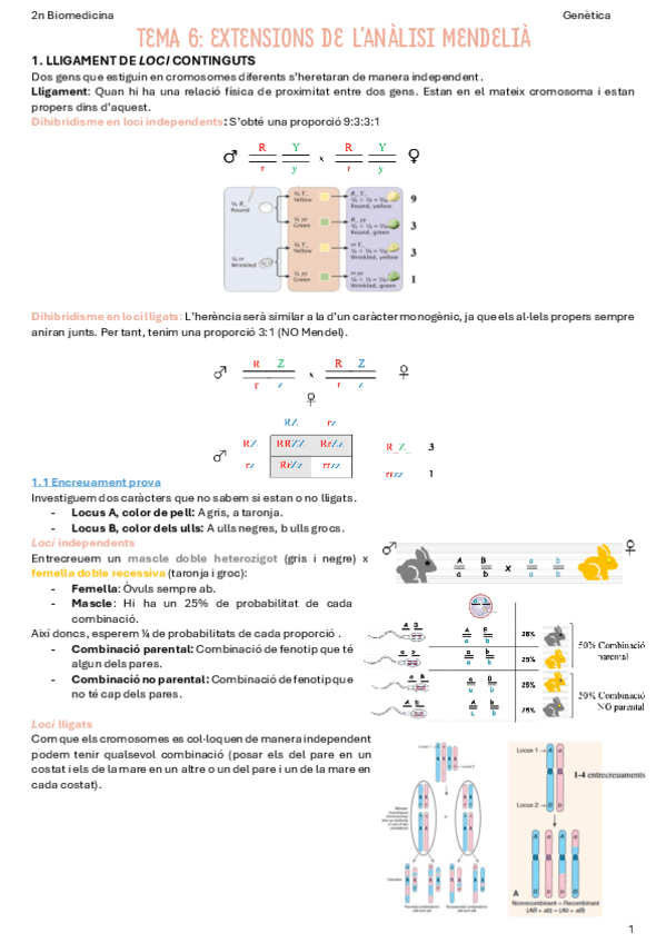 T6-Extensions-de-lanalisi-mendelia.pdf