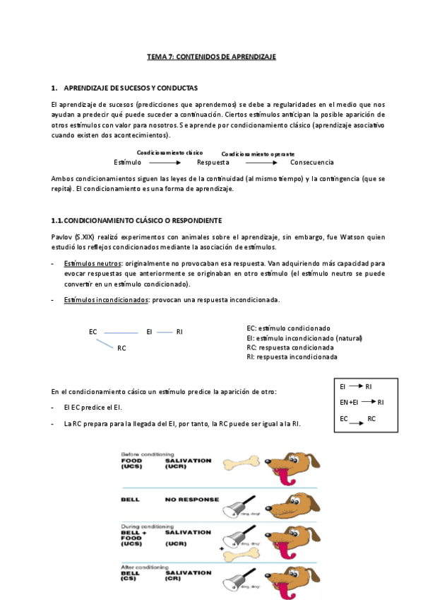 TEMA-7-ADP.pdf
