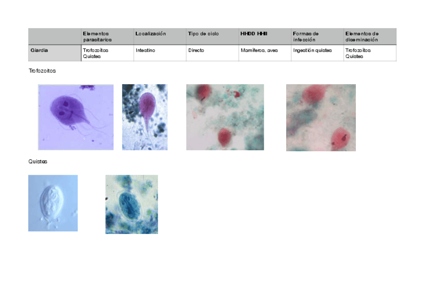 Practico-parasitologia.pdf