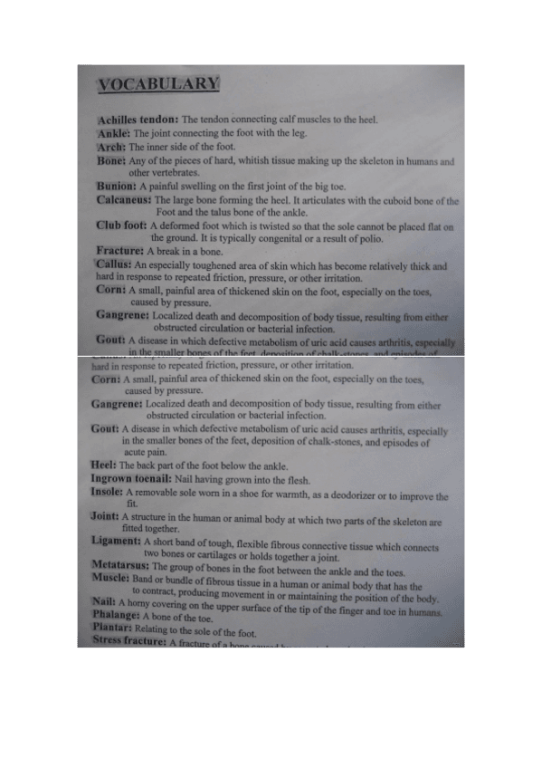 Vocabulario.pdf