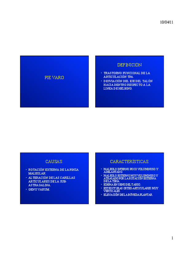 TEMA-08-PIE-VARO.pdf